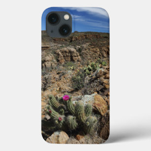 Cactus Flowering iPhone 13 Case