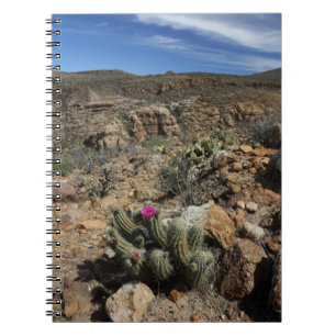 Cactus Flowering Spiral Notebook
