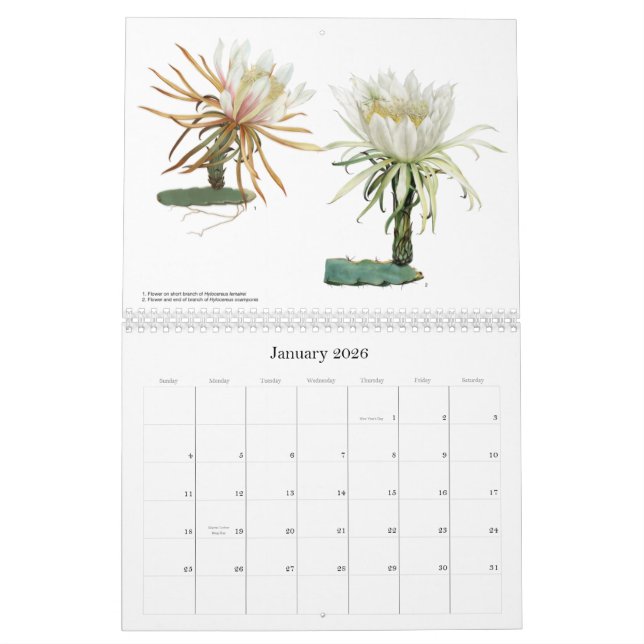 Cactus Flowers Calendar (Jan 2026)