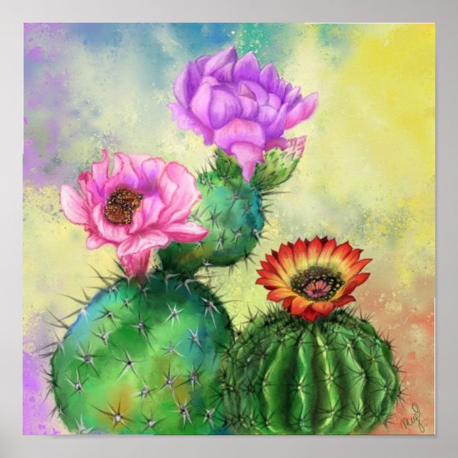 Cactus Flowers Poster Print (Front)