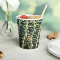 Cactus Funny Uncomfortable Needles Arid Plant Pape