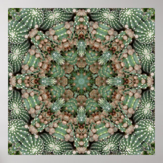Cactus garden poster