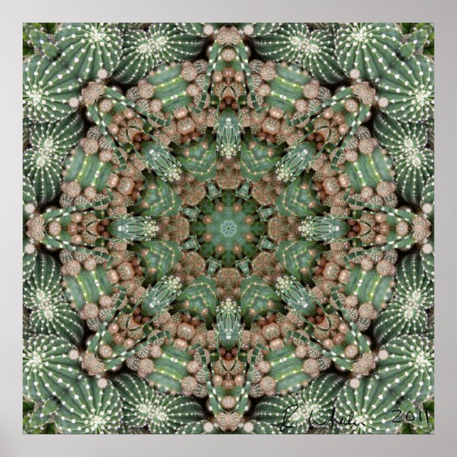 Cactus garden poster (Front)