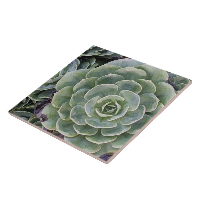 Cactus Garden Tile (Side)