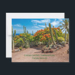 Cactus Garen, Fuerteventura, Canary Islands, Postcard<br><div class="desc">Cactus Garden,  Fuerteventura,  Canary Islands colourful poster.</div>