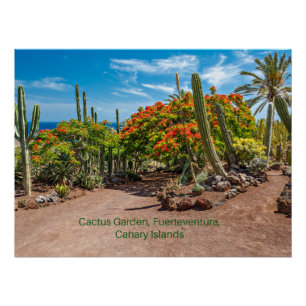 Cactus Garen, Fuerteventura, Canary Islands, Poster