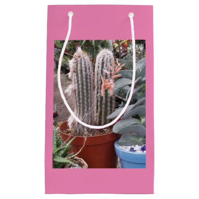 Cactus Gift Bag (Front)