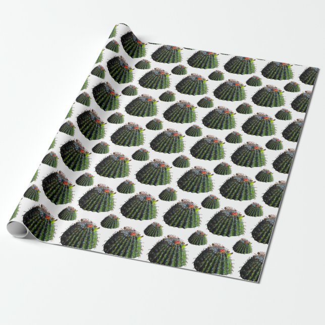 Cactus Gift Wrapping Paper (Unrolled)