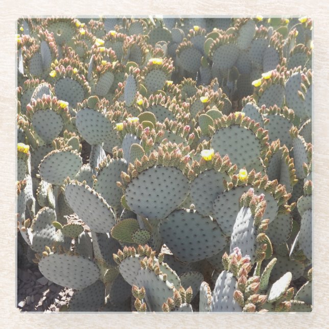 Cactus Glass Coaster (Front)