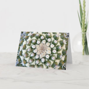 Cactus greeting card by Debra Lee Baldwin