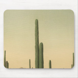 Cactus grove, Arizona Mouse Pad