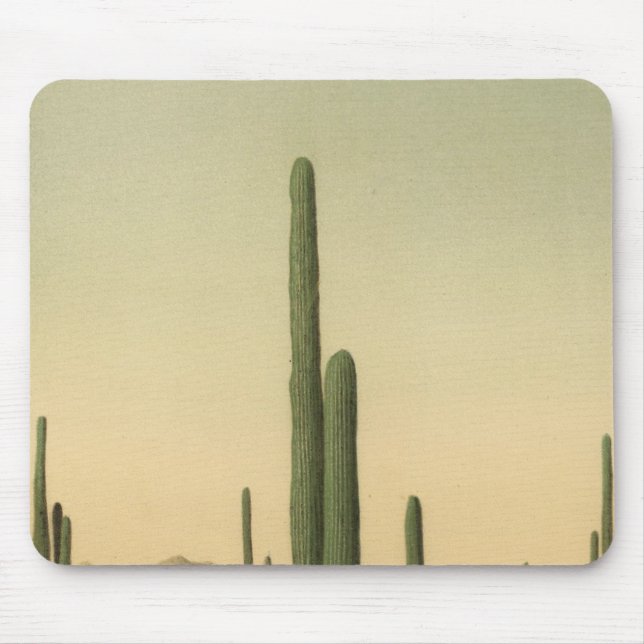 Cactus grove, Arizona Mouse Pad (Front)