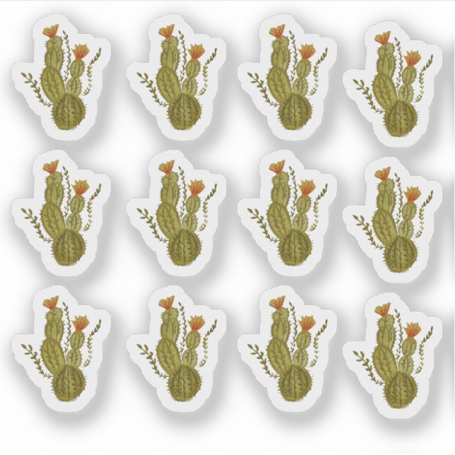 Cactus Hand Painted Elegant Greenery Plant (Front)