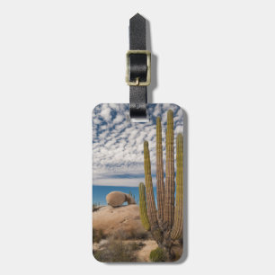 Cactus In Desert Scenic Luggage Tag