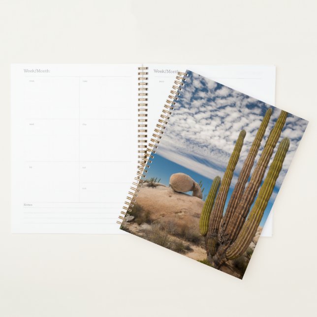 Cactus In Desert Scenic Planner (Display)