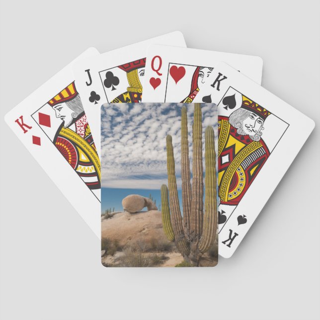 Cactus In Desert Scenic Playing Cards (Back)