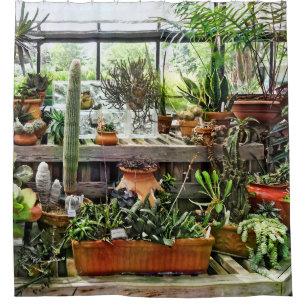 Cactus in Greenhouse Shower Curtain
