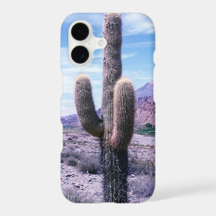 Cactus in Jujuy Province - Northern Argentina.