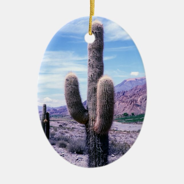 Cactus in Jujuy Province - Northern Argentina Ceramic Tree Decoration (Front)