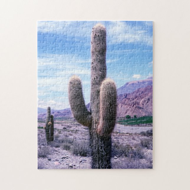 Cactus in Jujuy Province - Northern Argentina Jigsaw Puzzle (Vertical)