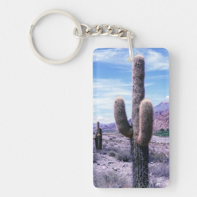 Cactus in Jujuy Province - Northern Argentina Key Ring (Front)