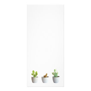 Cactus in pots rack card