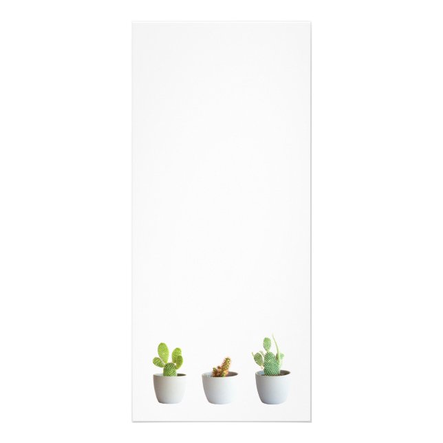 Cactus in pots rack card (Front)