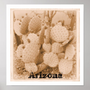 cactus in sepia print