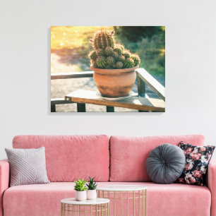 Cactus in sunlight canvas print