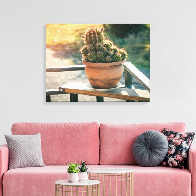 Cactus in sunlight canvas print (Insitu(LivingRoom))