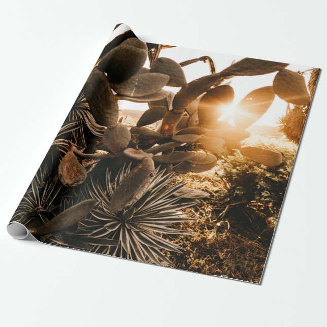 CACTUS IN THE MORNING WRAPPING PAPER (Unrolled)