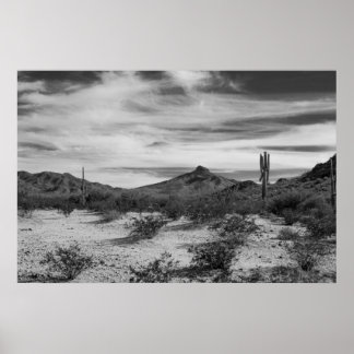 Cactus in white sands poster