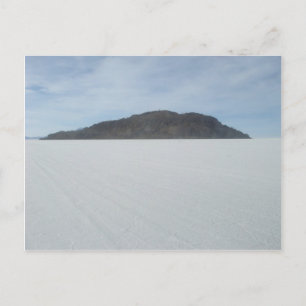 Cactus Island Postcard