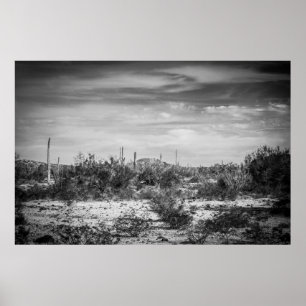 Cactus landscape poster