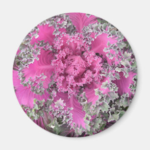 Cactus Magnet
