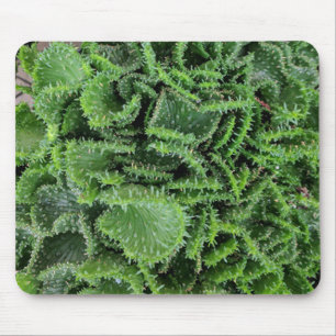 Cactus Mouse Pad