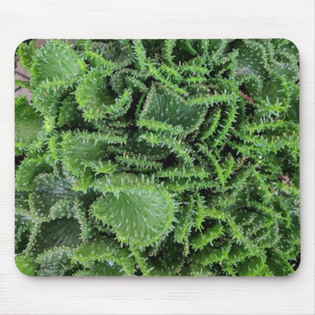 Cactus Mouse Pad (Front)