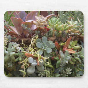 Cactus Mouse Pad
