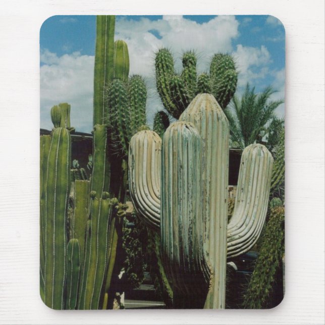 Cactus Mouse Pad (Front)