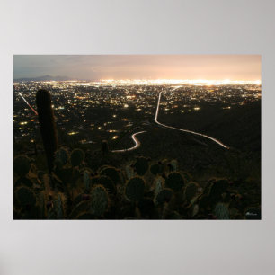 Cactus Night Lights Poster