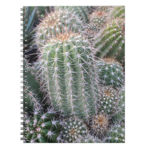 Cactus Notebook