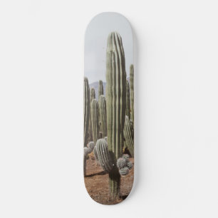 Cactus Oasis #1 #wall #decor #art  Skateboard