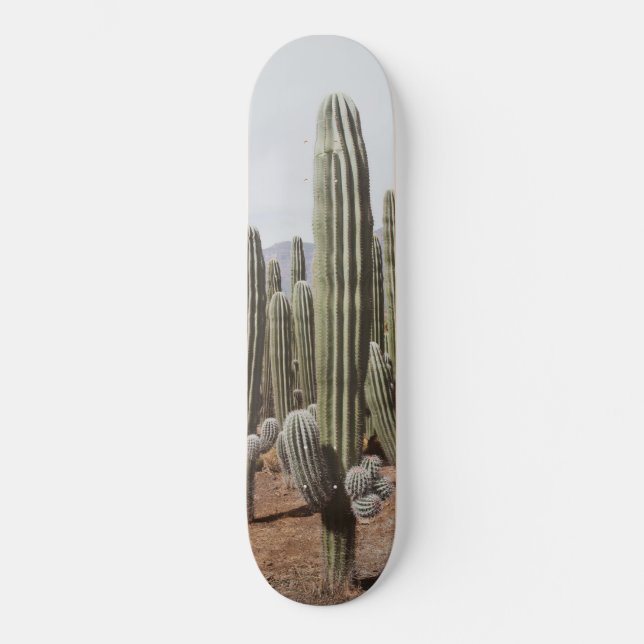 Cactus Oasis #1 #wall #decor #art  Skateboard (Front)