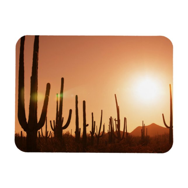 Cactus On Desert Magnet (Horizontal)