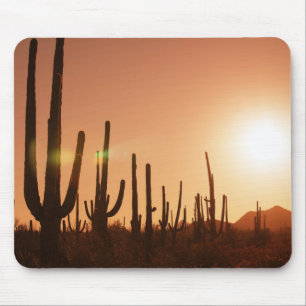 Cactus On Desert Mouse Pad