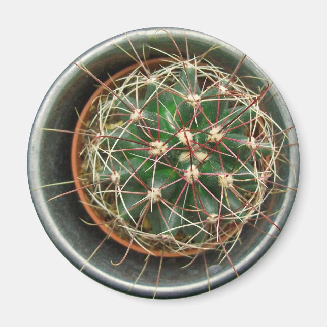 Cactus on Fridge Magnet (Front)