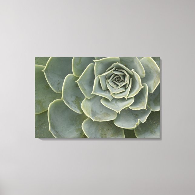 Cactus pattern canvas print (Front)