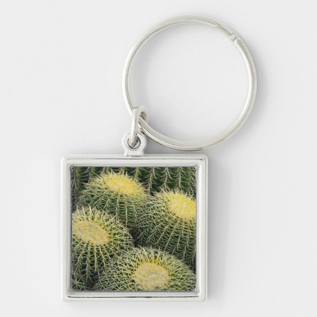 Cactus Pattern Key Ring (Front)