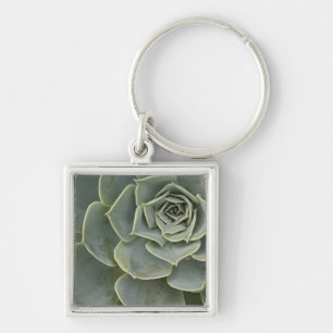 Cactus pattern key ring