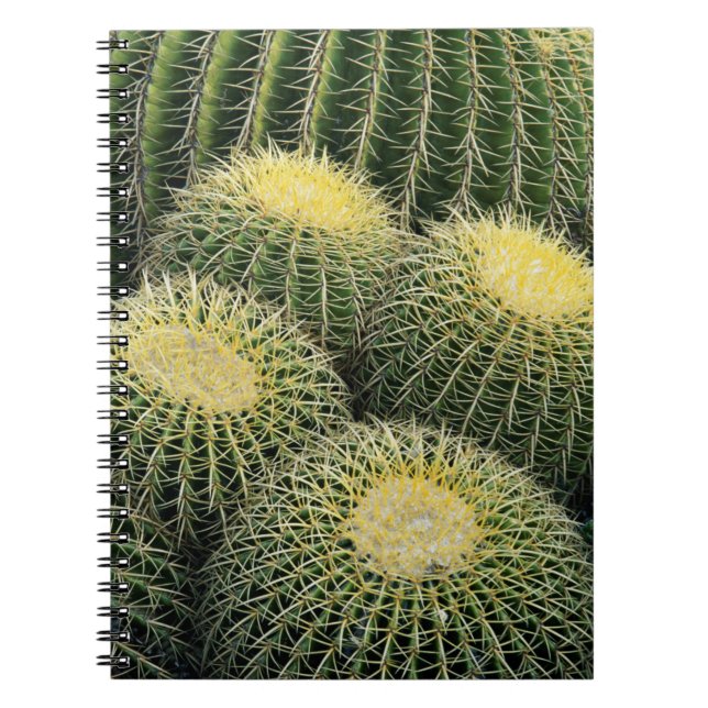 Cactus Pattern Spiral Notebook (Front)